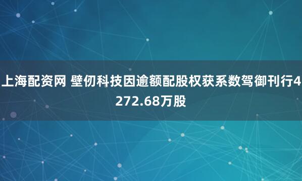 上海配资网 壁仞科技因逾额配股权获系数驾御刊行4272.68万股