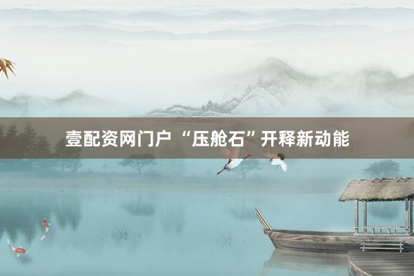 壹配资网门户 “压舱石”开释新动能