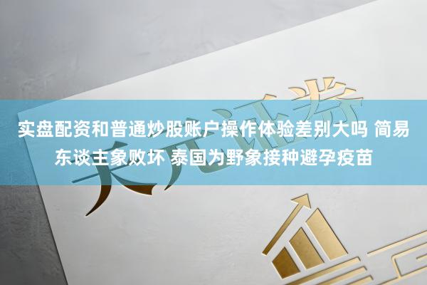实盘配资和普通炒股账户操作体验差别大吗 简易东谈主象败坏 泰国为野象接种避孕疫苗