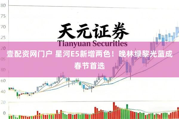 壹配资网门户 星河E5新增两色！晚林绿黎光蓝成春节首选