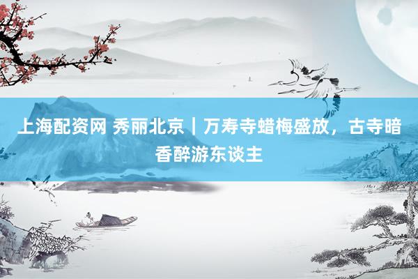 上海配资网 秀丽北京｜万寿寺蜡梅盛放，古寺暗香醉游东谈主