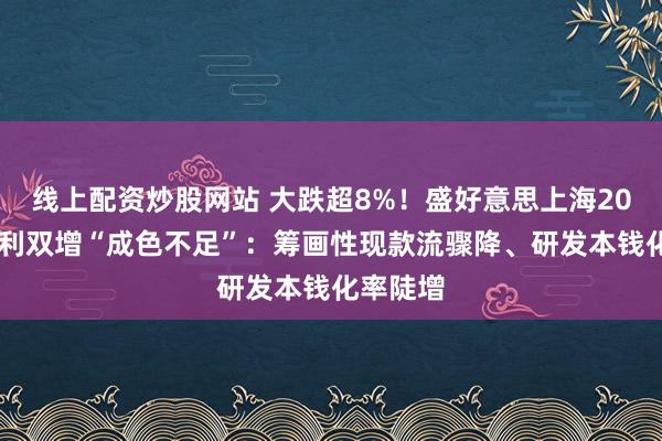 线上配资炒股网站 大跌超8%！盛好意思上海2025年牟利双增“成色不足”：筹画性现款流骤降、研发本钱化率陡增