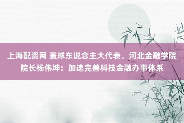 上海配资网 寰球东说念主大代表、河北金融学院院长杨伟坤：加速完善科技金融办事体系