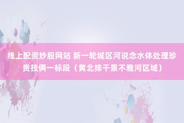 线上配资炒股网站 新一轮城区河说念水体处理珍贵技俩一标段（黄北排干景不雅河区域）