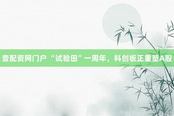 壹配资网门户 “试验田”一周年，科创板正重塑A股