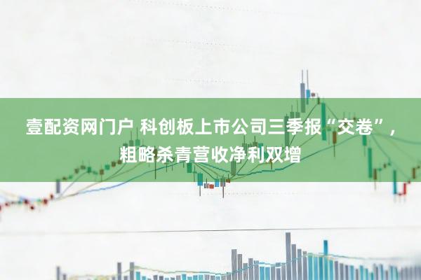 壹配资网门户 科创板上市公司三季报“交卷”，粗略杀青营收净利双增