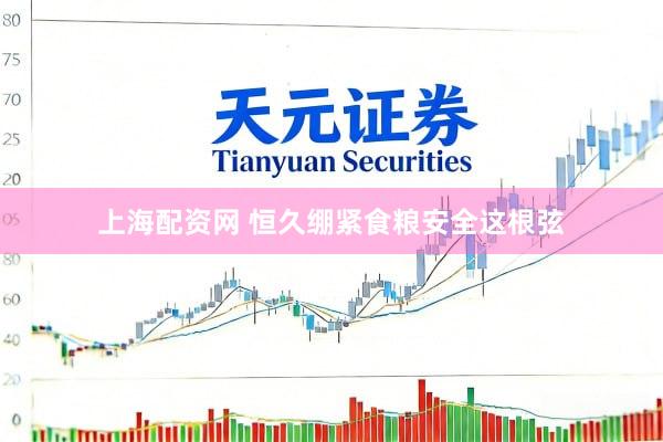 上海配资网 恒久绷紧食粮安全这根弦