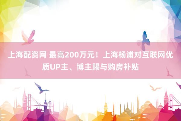 上海配资网 最高200万元！上海杨浦对互联网优质UP主、博主赐与购房补贴